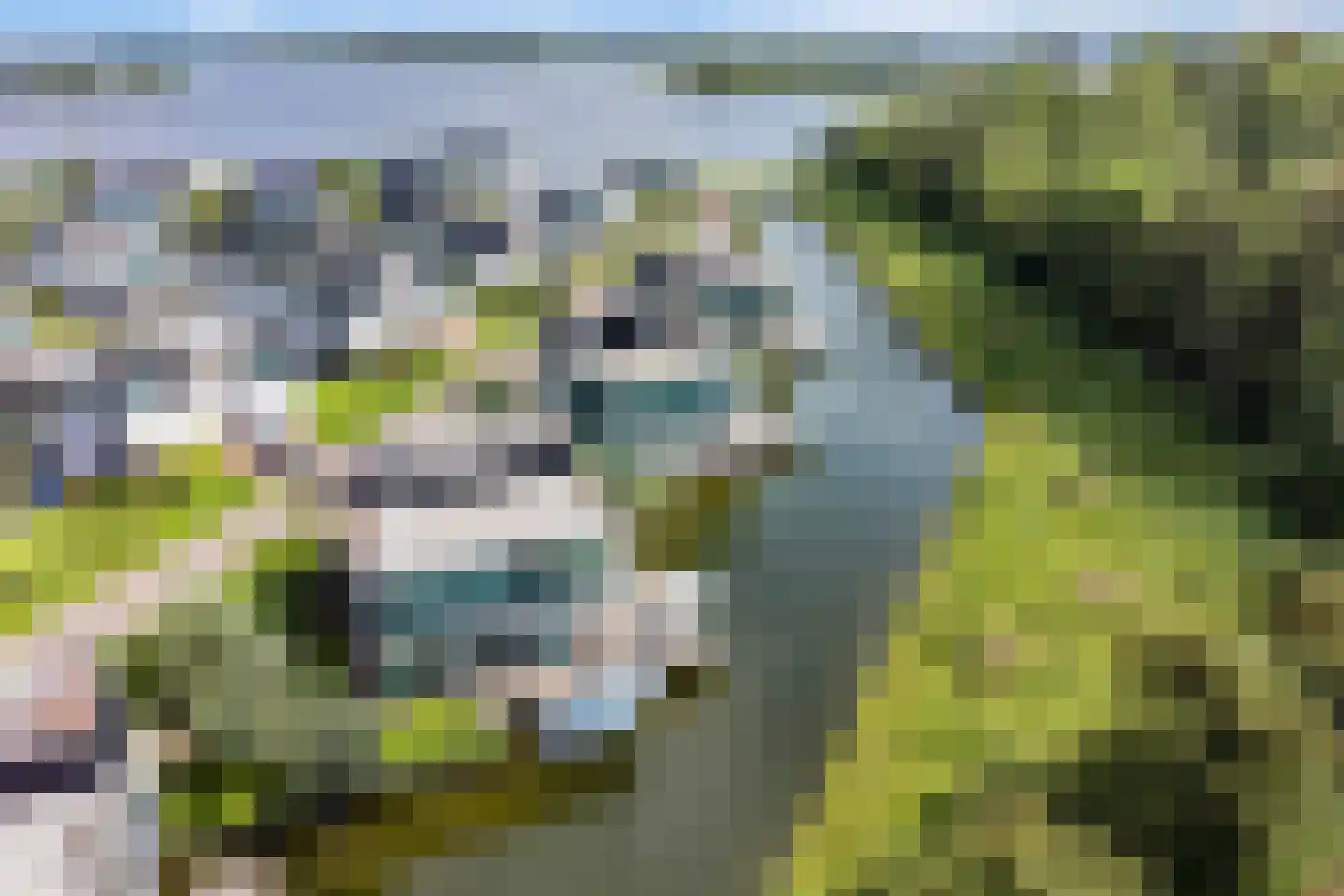 Christiaanpolderweg 18 Arnemuiden thumbnail 47
