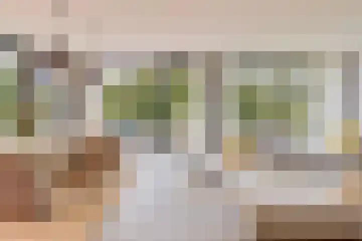 Christiaanpolderweg 18 Arnemuiden thumbnail 9