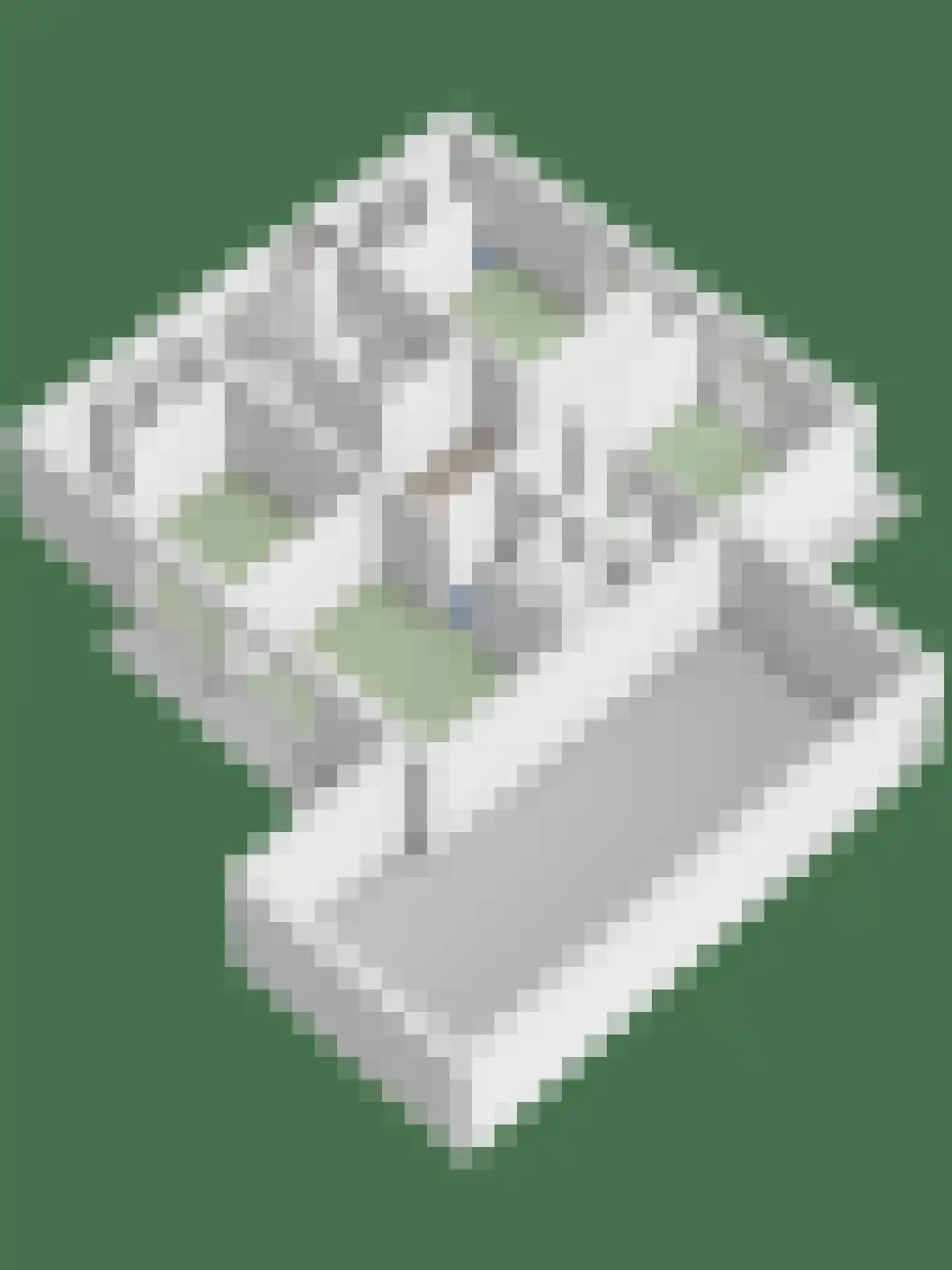 Christiaanpolderweg 2 Arnemuiden thumbnail 35