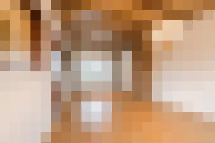 Christiaansdreef 10 Veldhoven thumbnail 11