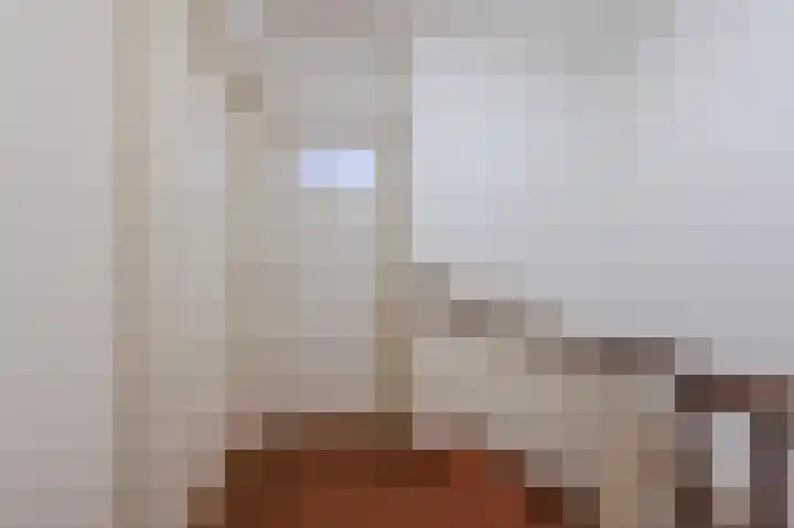 Christiaansdreef 10 Veldhoven thumbnail 17
