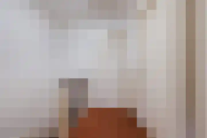 Christiaansdreef 10 Veldhoven thumbnail 18