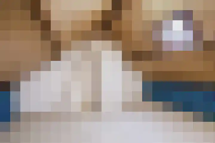 Christiaansdreef 10 Veldhoven thumbnail 31