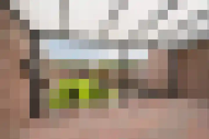 Christiaansdreef 10 Veldhoven thumbnail 34