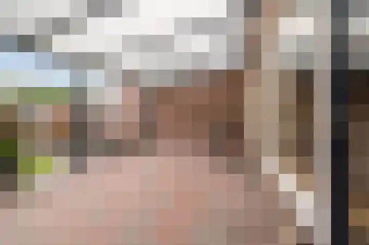 Christiaansdreef 10 Veldhoven thumbnail 35