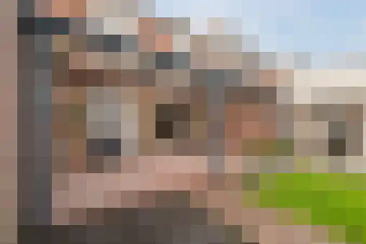 Christiaansdreef 10 Veldhoven thumbnail 38