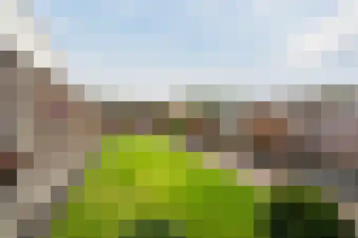 Christiaansdreef 10 Veldhoven thumbnail 39