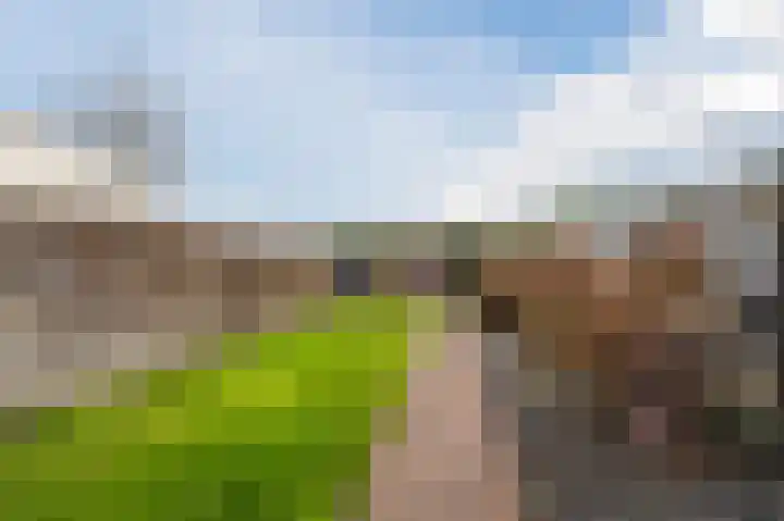 Christiaansdreef 10 Veldhoven thumbnail 40