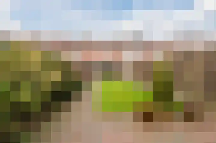 Christiaansdreef 10 Veldhoven thumbnail 42