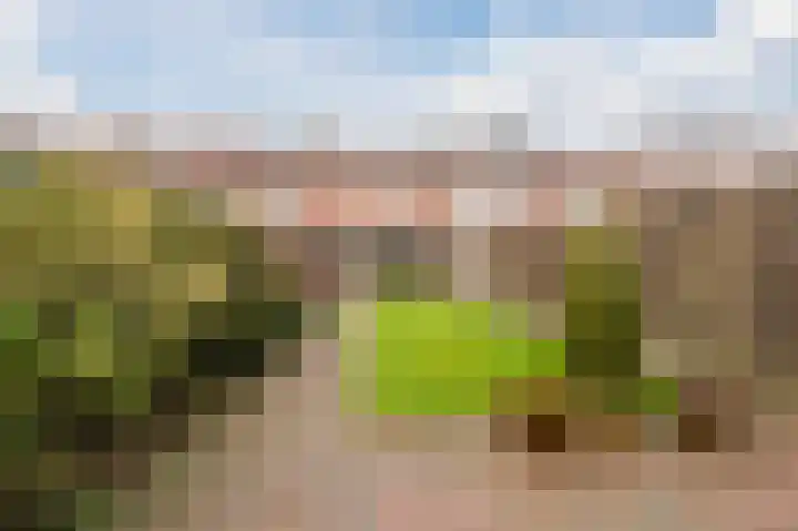 Christiaansdreef 10 Veldhoven thumbnail 5