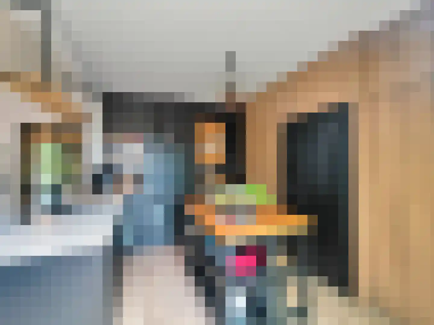 Christiaansenstraat 19 Aardenburg thumbnail 16