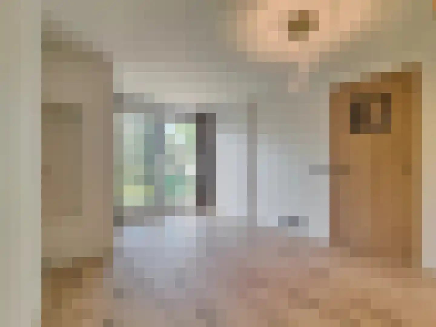 Christiaansenstraat 19 Aardenburg thumbnail 20