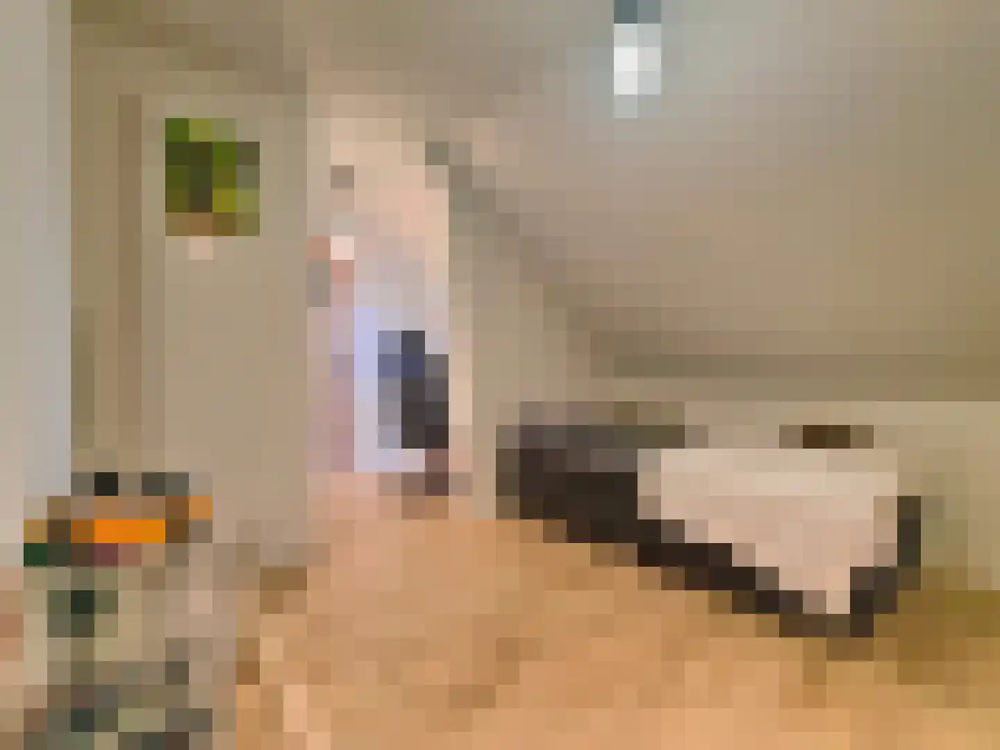 Christiaansenstraat 19 Aardenburg thumbnail 22