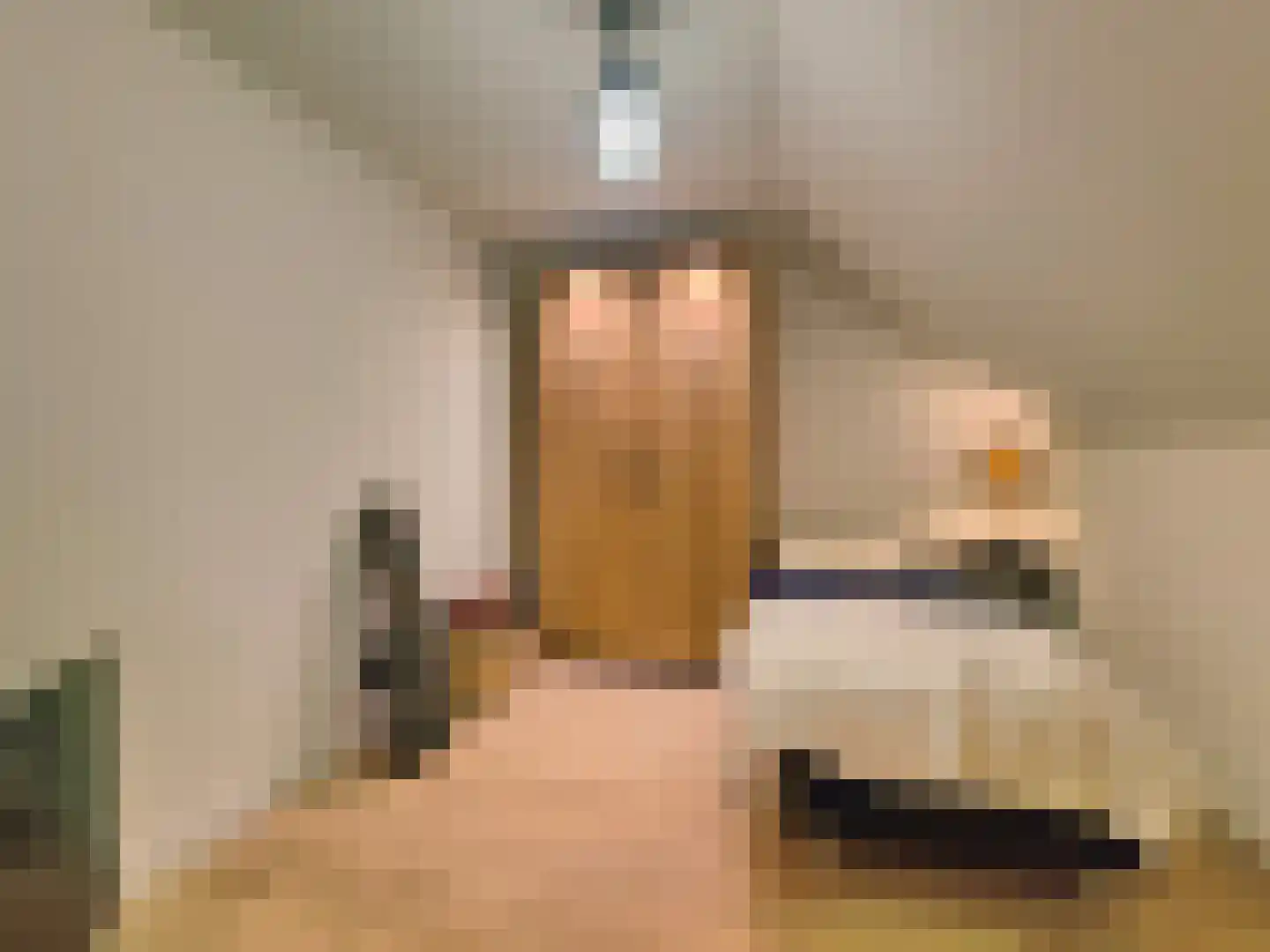 Christiaansenstraat 19 Aardenburg thumbnail 23