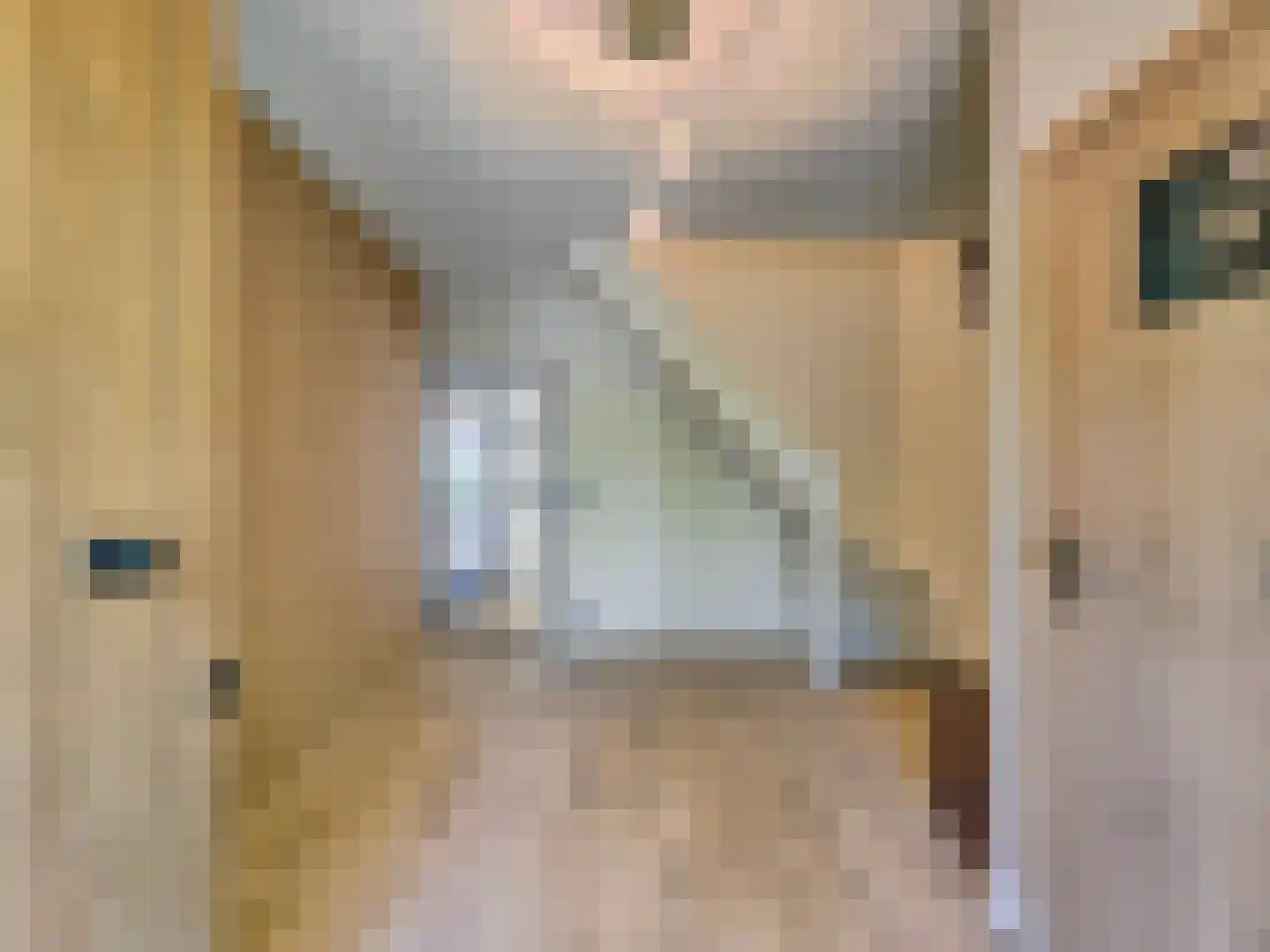 Christiaansenstraat 19 Aardenburg thumbnail 9