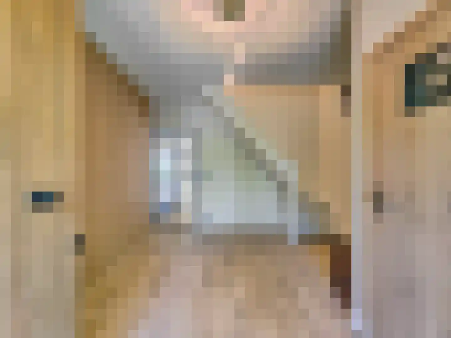 Christiaansenstraat 19 Aardenburg thumbnail 9
