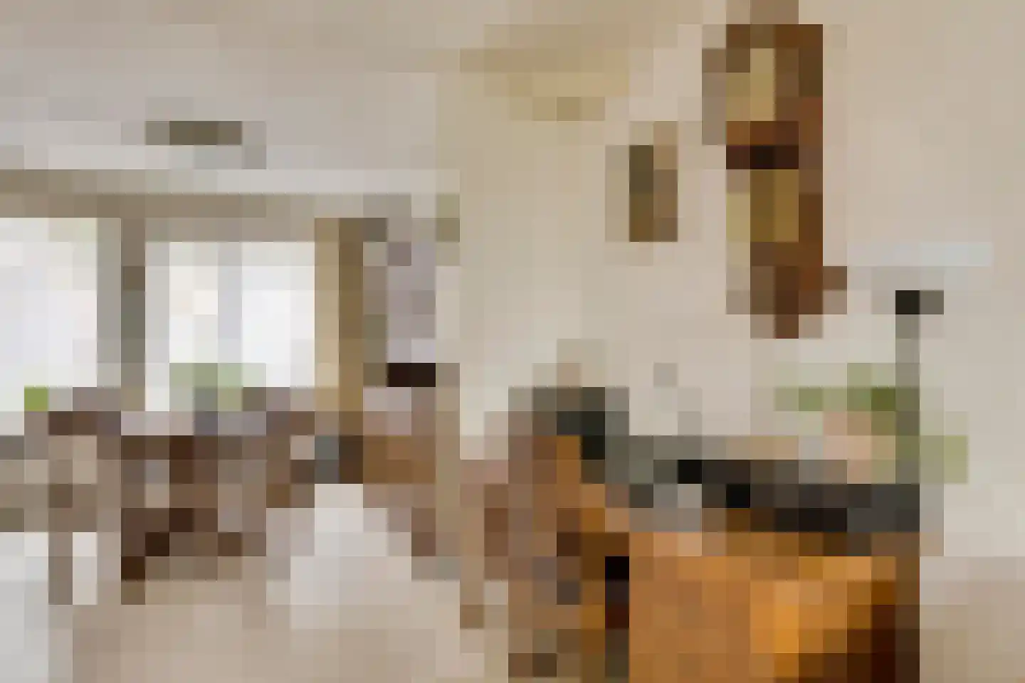 Christina Bakker-van Bossestraat 39 Eindhoven thumbnail 12