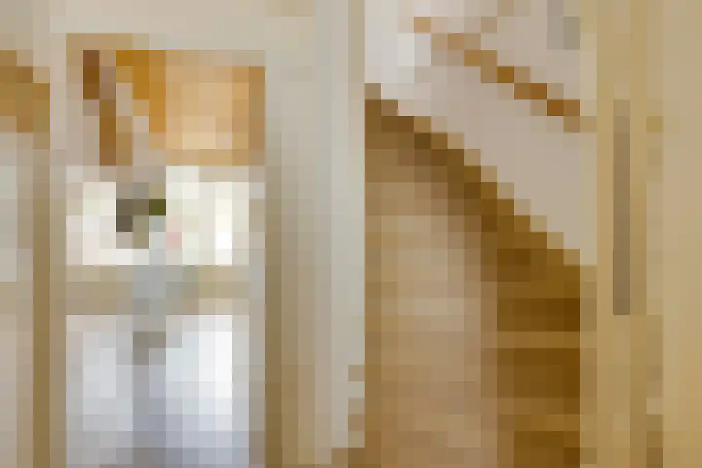 Christina Bakker-van Bossestraat 39 Eindhoven thumbnail 5