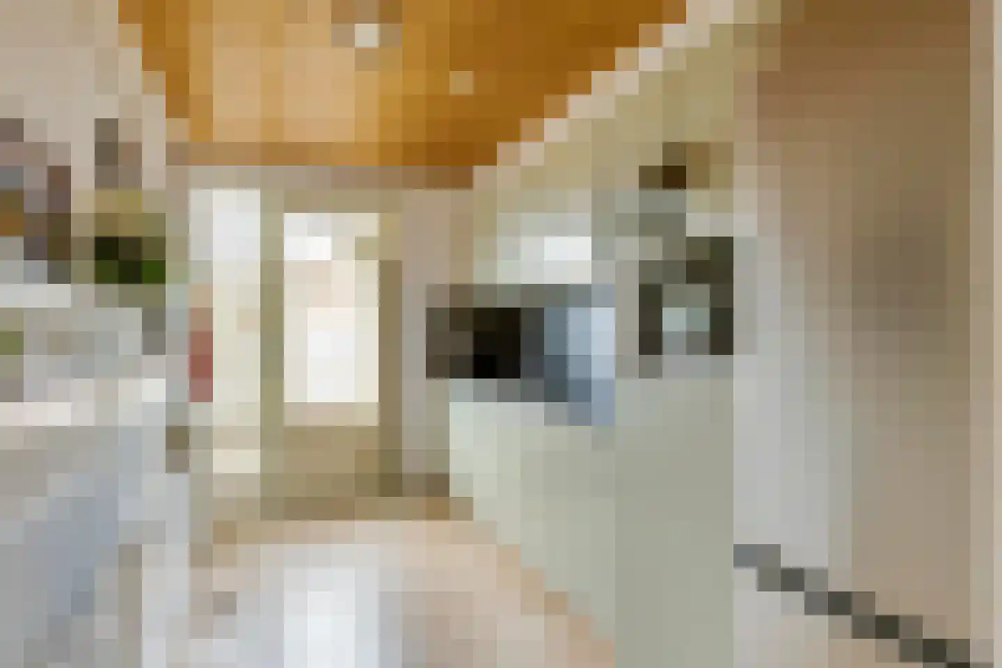 Christina Bakker-van Bossestraat 39 Eindhoven thumbnail 6