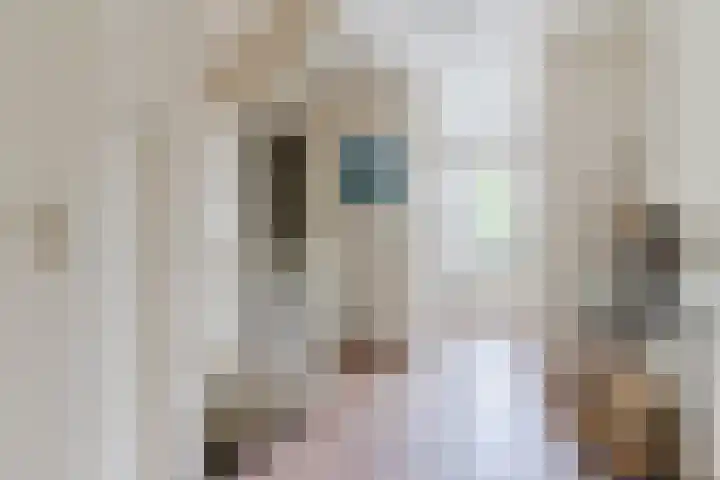 Christina Bakker-van Bossestraat 44 Eindhoven thumbnail 19