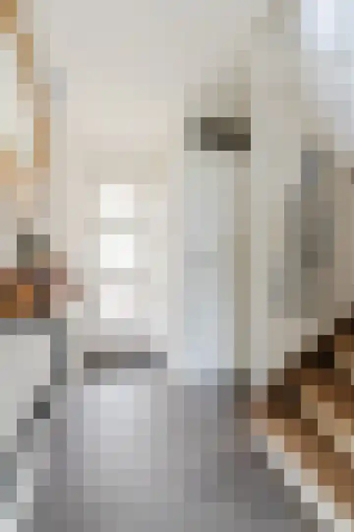 Christina Bakker-van Bossestraat 44 Eindhoven thumbnail 7