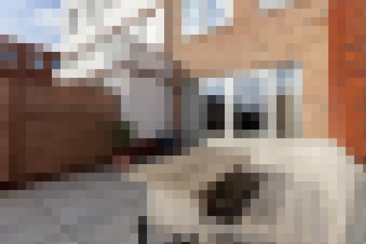 Christina de Ridderstraat 6 Gouda thumbnail 48