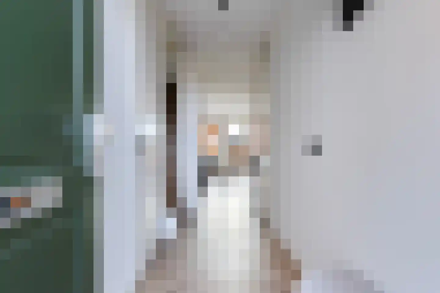 Christina de Ridderstraat 6 Gouda thumbnail 8