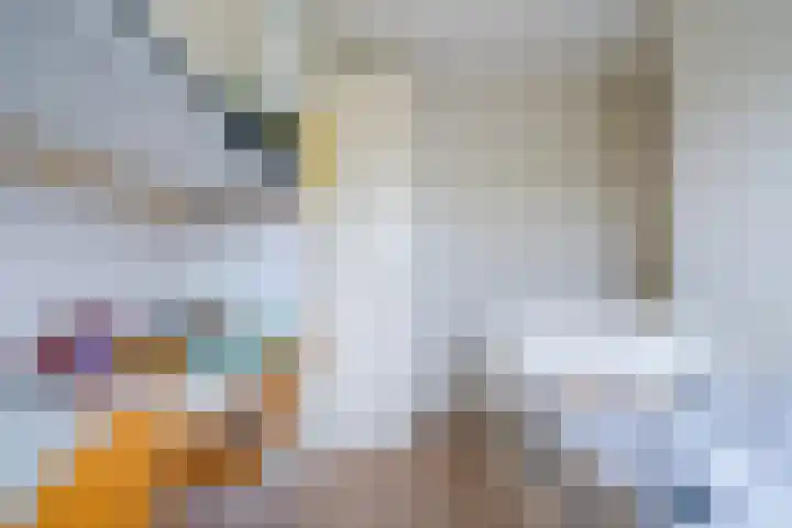 Christina Maria Smoorenburg erf 15 Heerhugowaard thumbnail 23