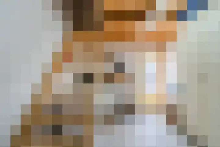 Christina Maria Smoorenburg erf 15 Heerhugowaard thumbnail 36