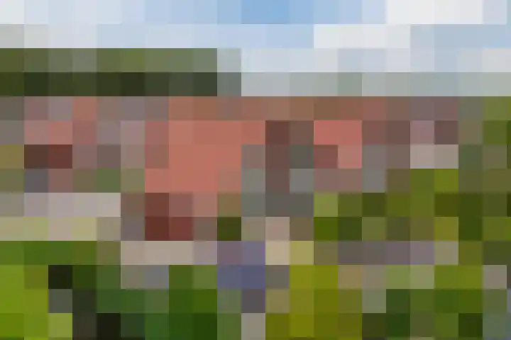 Christina Maria Smoorenburg erf 15 Heerhugowaard thumbnail 50