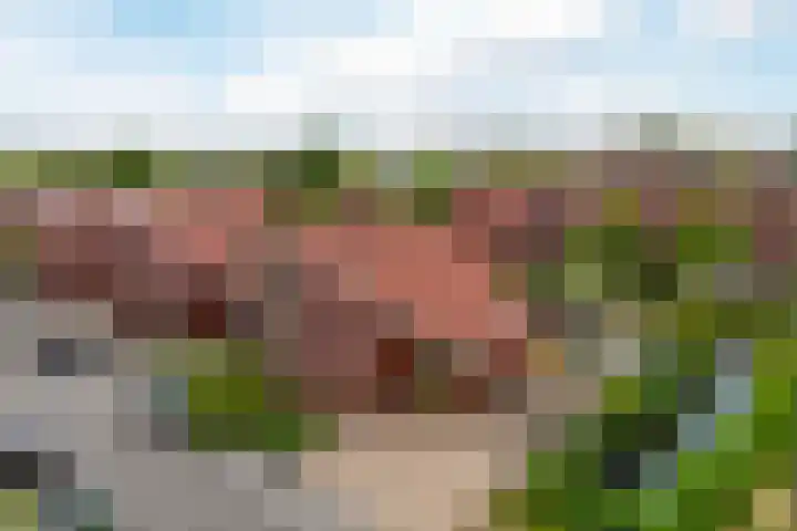 Christina Maria Smoorenburg erf 15 Heerhugowaard thumbnail 58