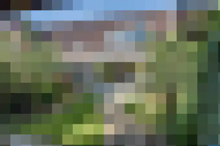 Christina Ulemanshof 7 's-Hertogenbosch thumbnail 17