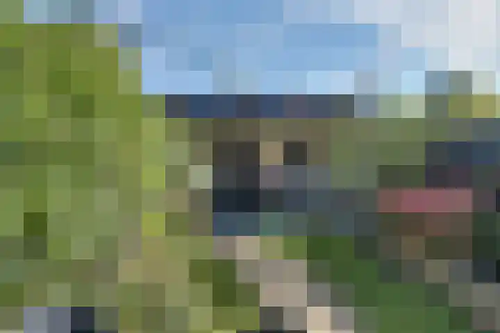 Christina Ulemanshof 7 's-Hertogenbosch thumbnail 28
