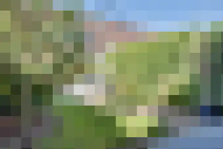 Christina Ulemanshof 7 's-Hertogenbosch thumbnail 32