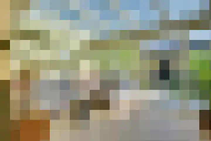 Christina Ulemanshof 7 's-Hertogenbosch thumbnail 9