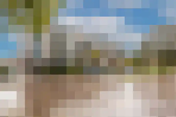 Christina van Erphof 48 in Haarlem