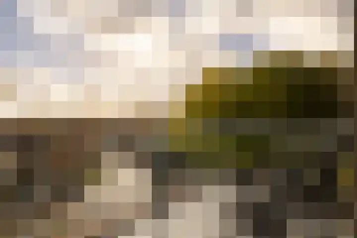 Christina van Erphof 74 Haarlem thumbnail 22