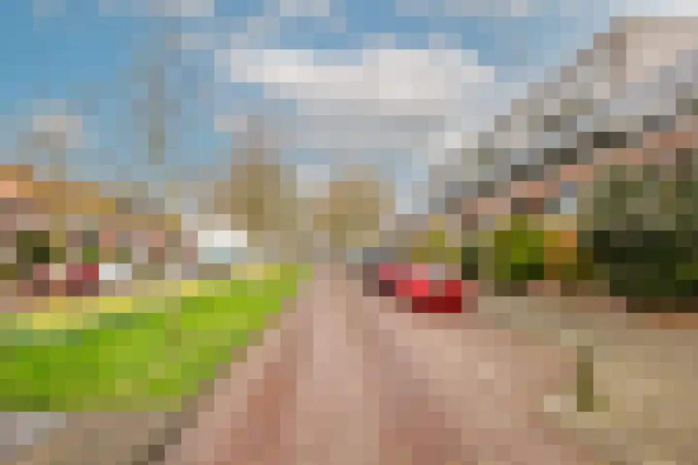 Christina van Erphof 86 Haarlem thumbnail 33
