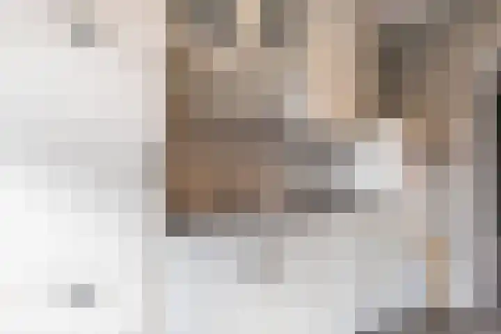 Christinahof 13 Tilburg thumbnail 13