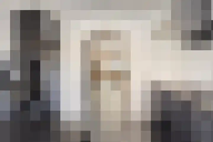 Christinahof 14 Tilburg thumbnail 16