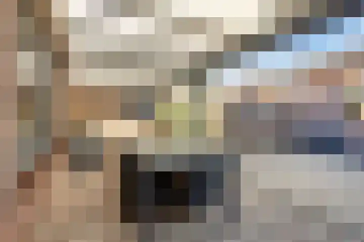 Christinahof 14 Tilburg thumbnail 20