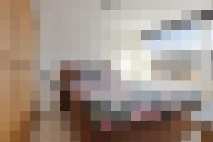 Christinahof 14 Tilburg thumbnail 28