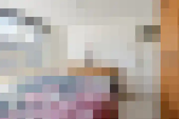 Christinahof 14 Tilburg thumbnail 29