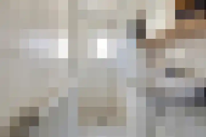 Christinahof 14 Tilburg thumbnail 30