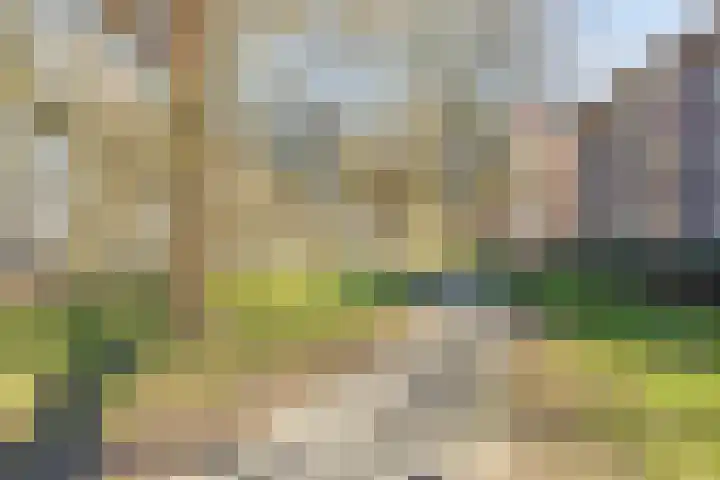 Christinahof 14 Tilburg thumbnail 41