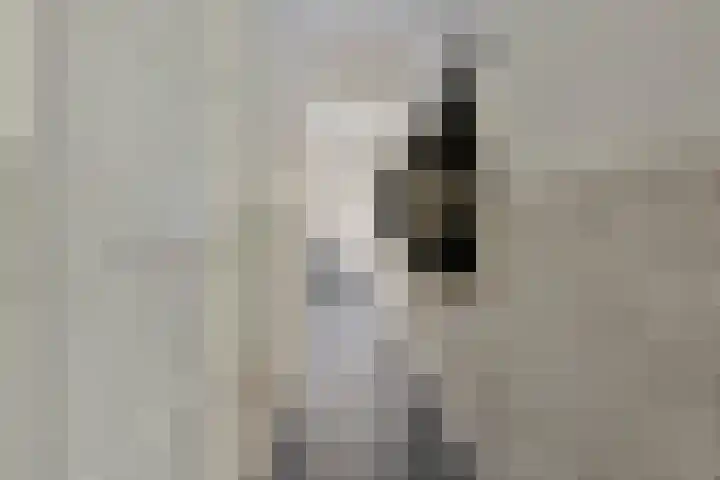 Christinahof 14 Tilburg thumbnail 8