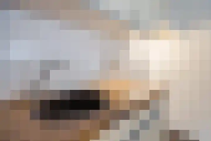 Christinahof 16 Tilburg thumbnail 10