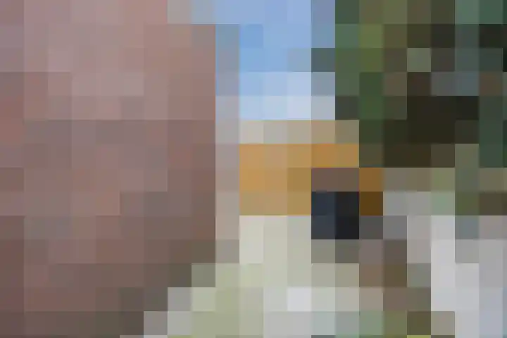 Christinahof 16 Tilburg thumbnail 25