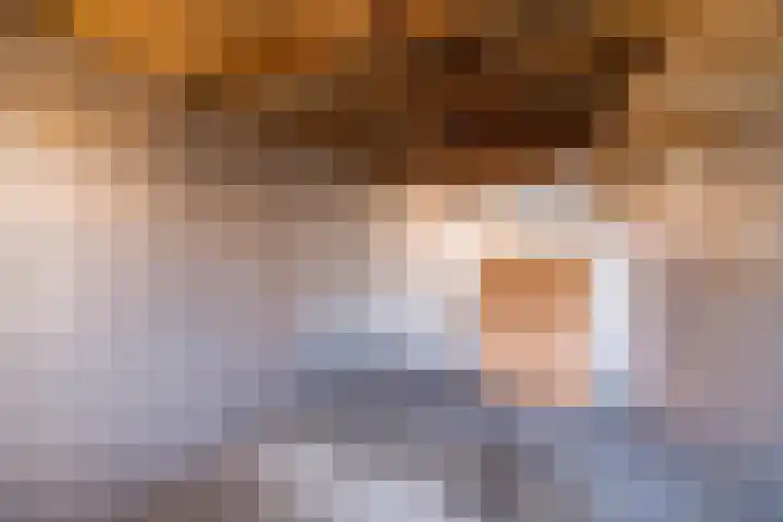 Christinahof 16 Tilburg thumbnail 30