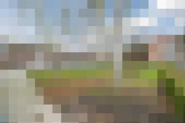 Christinahof 16 Tilburg thumbnail 38